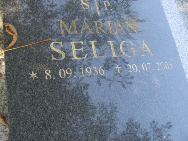 Dezyder Gorzkiewicz 1874 Kalisz Katedra - Grobonet - Wyszukiwarka osób pochowanych