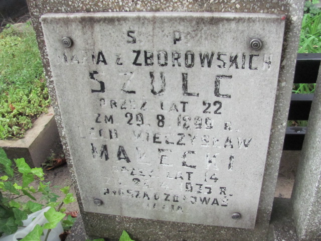 Halina Dobrzańska  Kalisz Katedra - Grobonet - Wyszukiwarka osób pochowanych