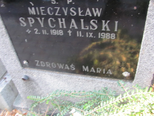 Joanna Spychalska - Linke 1923 Kalisz Katedra - Grobonet - Wyszukiwarka osób pochowanych