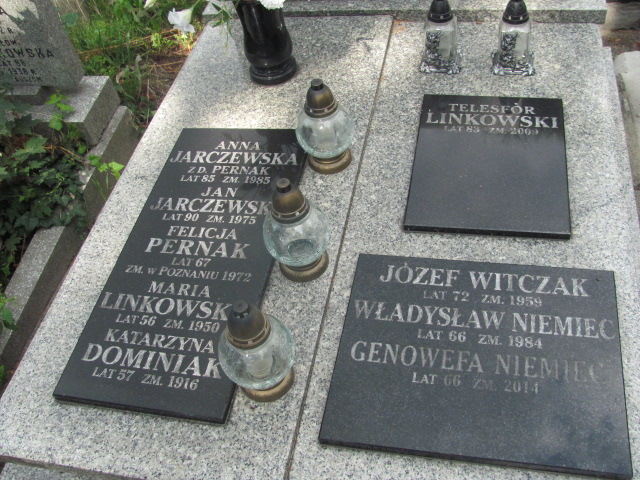 Genowefa Niemiec  Kalisz Katedra - Grobonet - Wyszukiwarka osób pochowanych