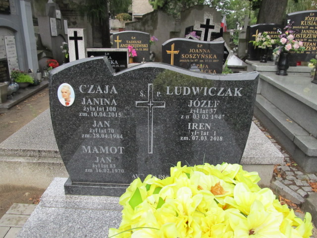 Irena Ludwiczak Kalisz Katedra - Grobonet - Wyszukiwarka osób pochowanych