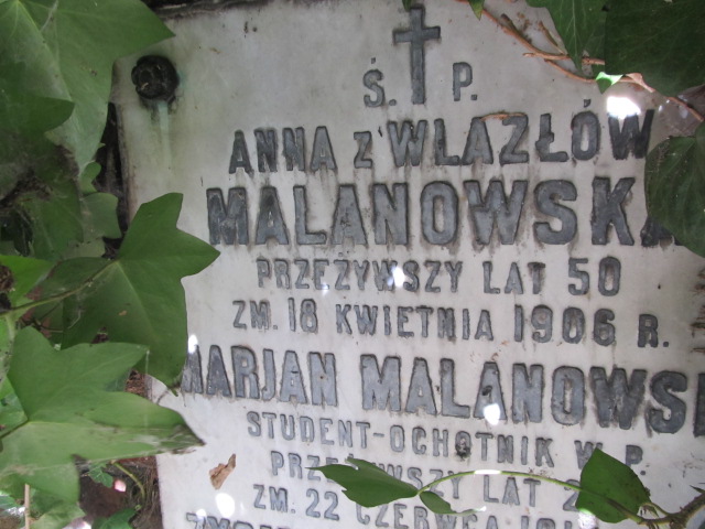 Andrzej Malanowski Kalisz Katedra - Grobonet - Wyszukiwarka osób pochowanych