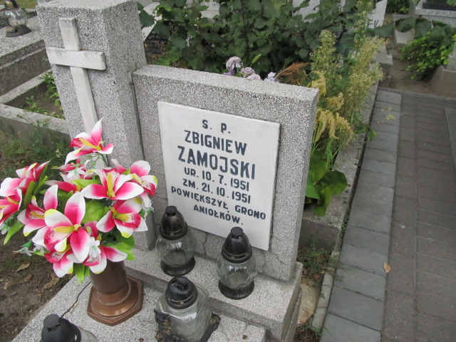 Zbigniew Zamojski 1951 Kalisz Katedra - Grobonet - Wyszukiwarka osób pochowanych