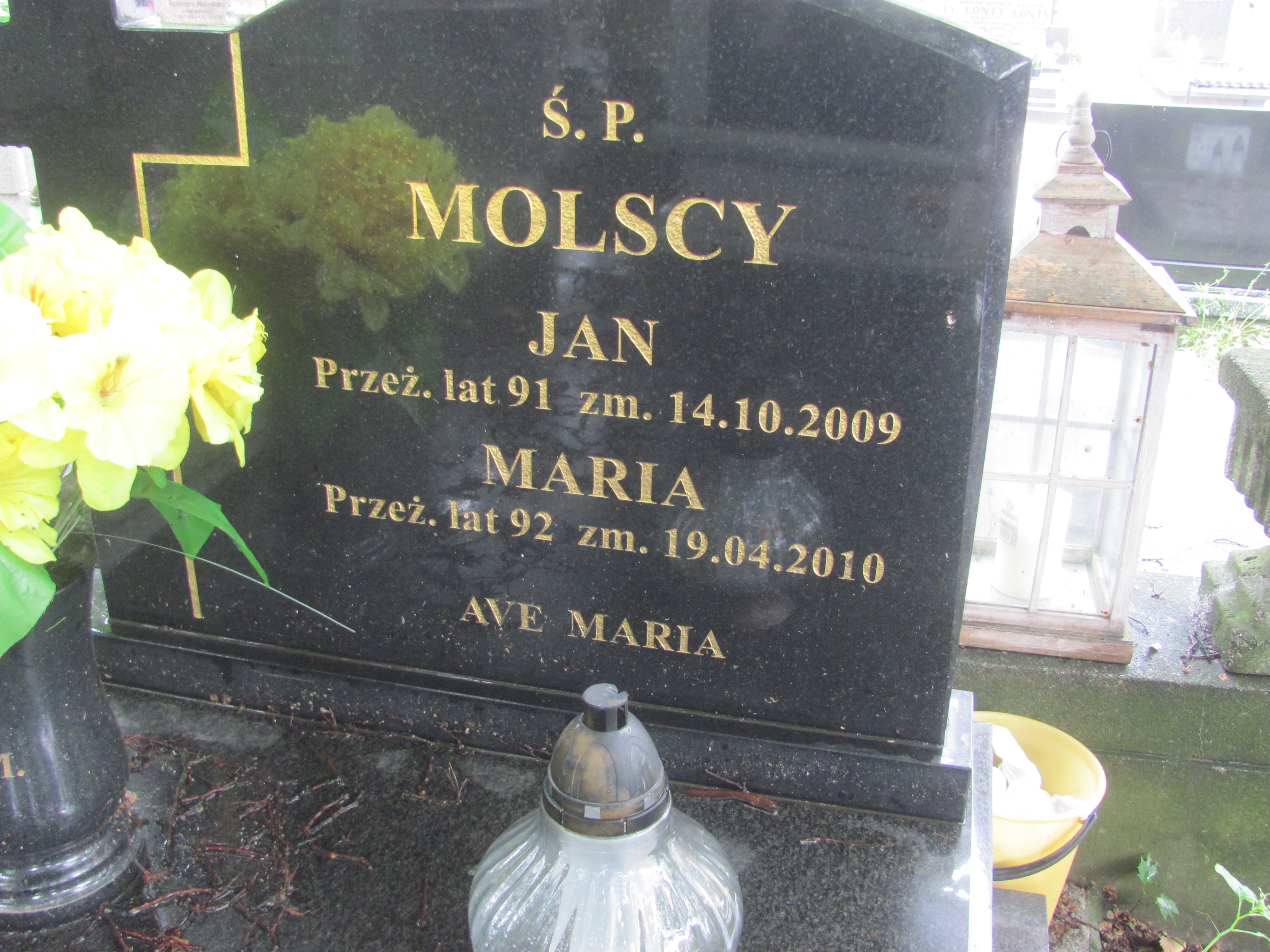 Maria Molska Kalisz Katedra - Grobonet - Wyszukiwarka osób pochowanych