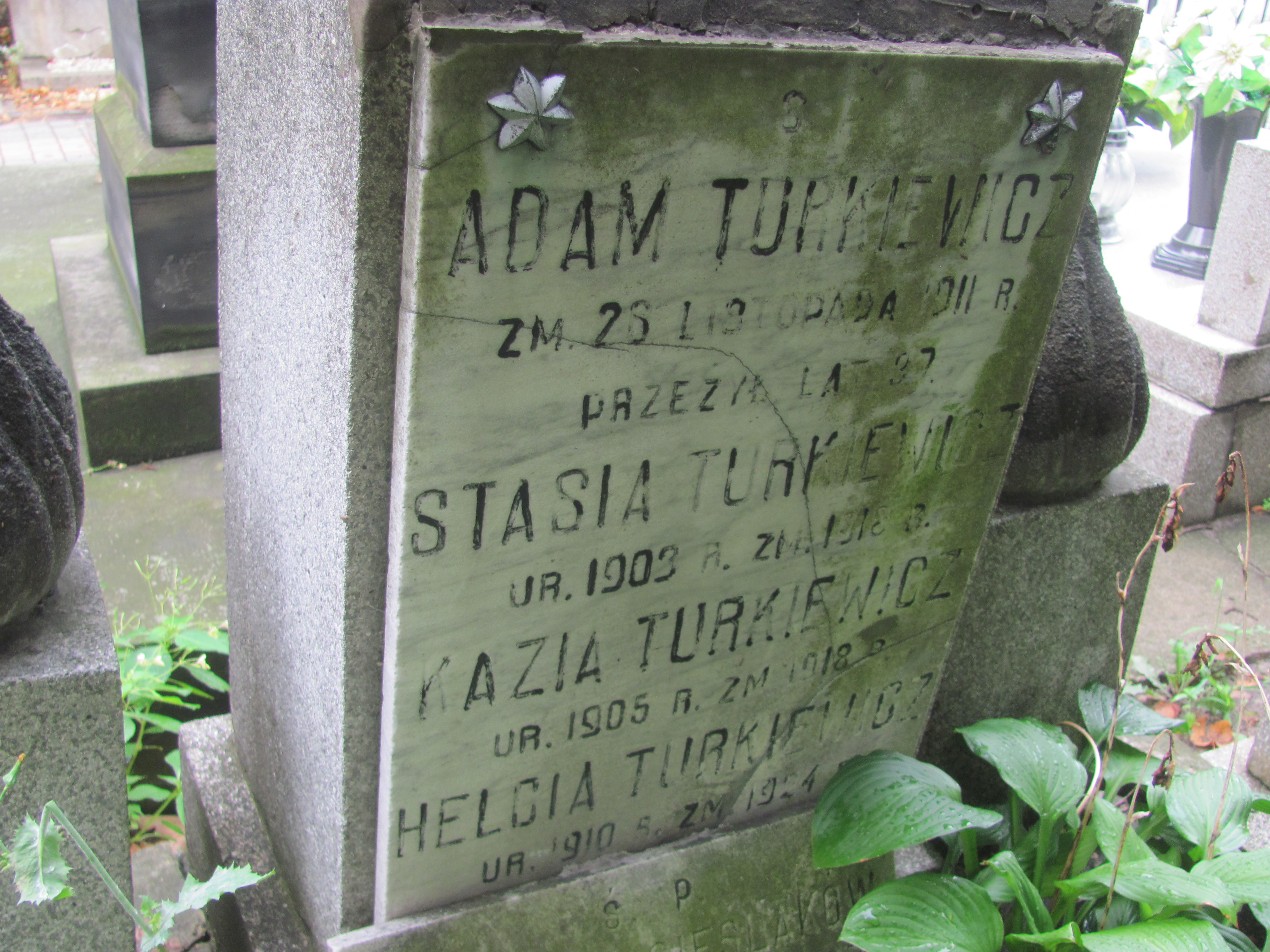 Adam Turkiewicz Kalisz Katedra - Grobonet - Wyszukiwarka osób pochowanych