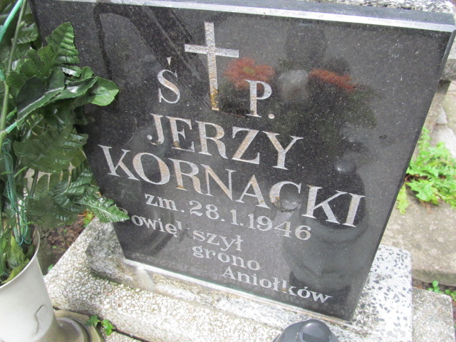 Jerzy Kornacki Kalisz Katedra - Grobonet - Wyszukiwarka osób pochowanych
