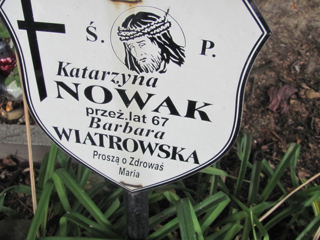 Katarzyna Nowak Kalisz Katedra - Grobonet - Wyszukiwarka osób pochowanych